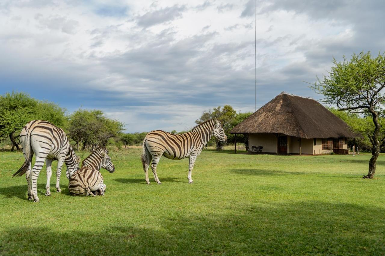 Mongena Private Game Lodge Rust de Winter Exterior foto
